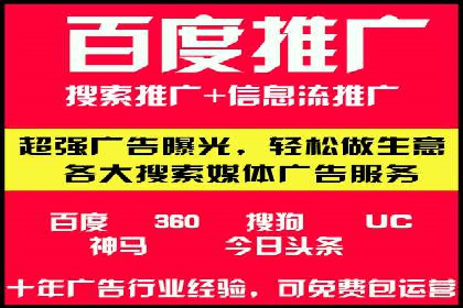 搜索引擎营销（SEM）广告的创意与执行案例